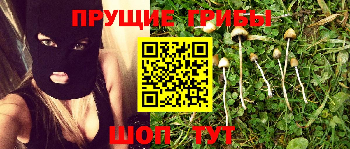 Галлюциногенные грибы Magic Shrooms  Вход с VPN  Избербаш 